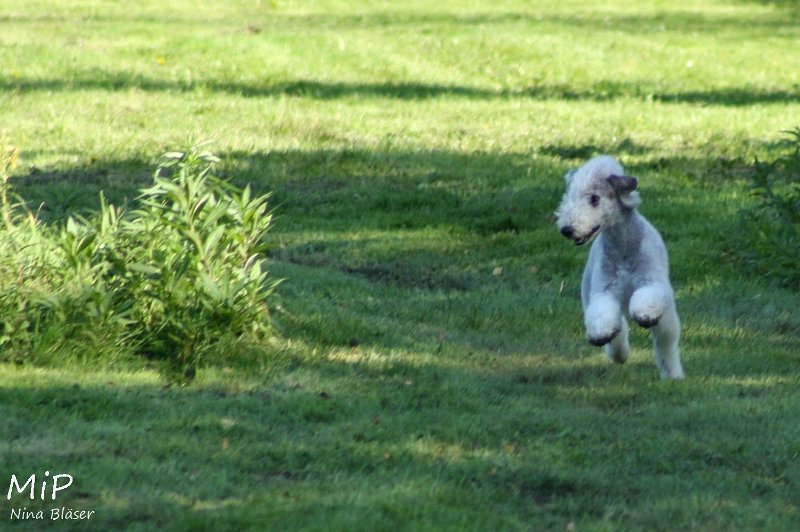 2010-10-03 Coursing-Training GE (25).jpg